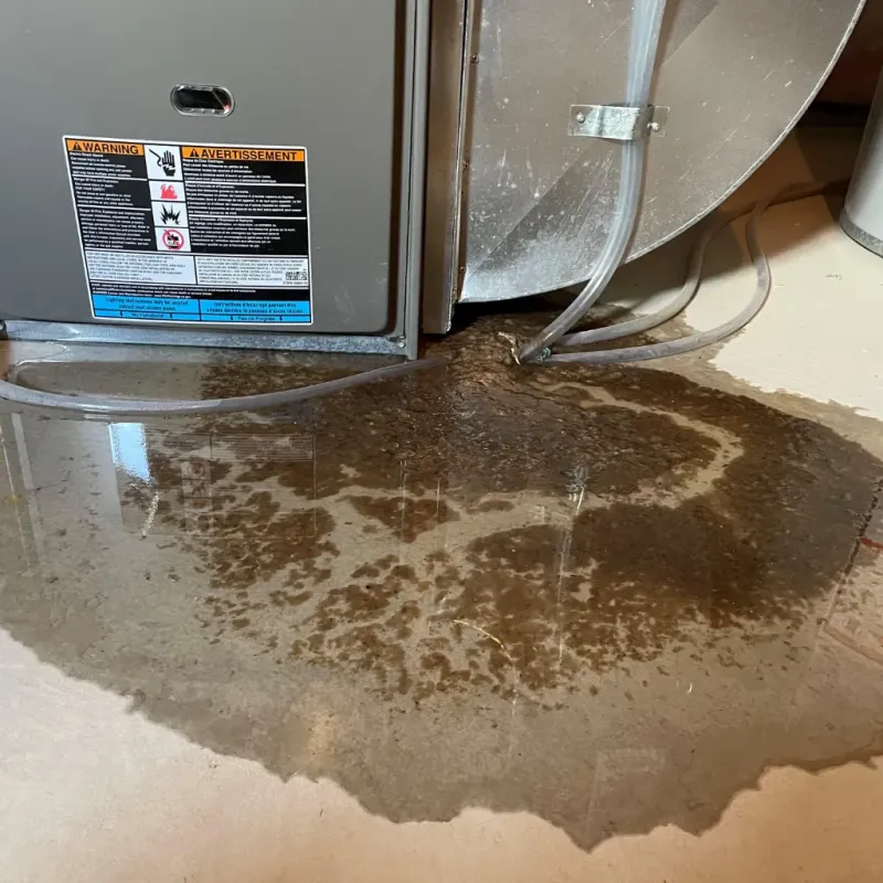 Appliance Leak Cleanup in Canton, NC